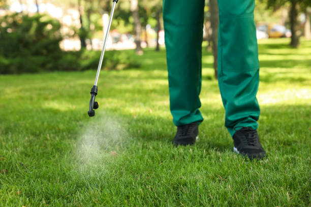 Best Pest Inspection Near Me  in Lakeshire, MO