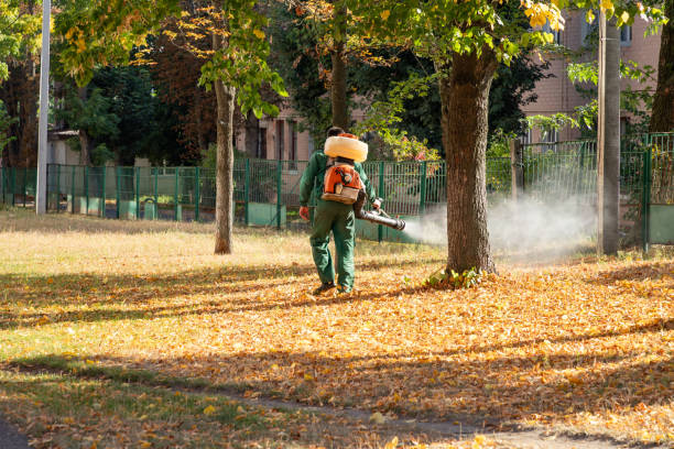 Best Wasp Removal Services  in Lakeshire, MO