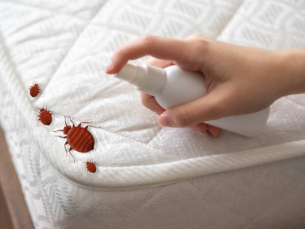 Best Pest Removal Services  in Lakeshire, MO